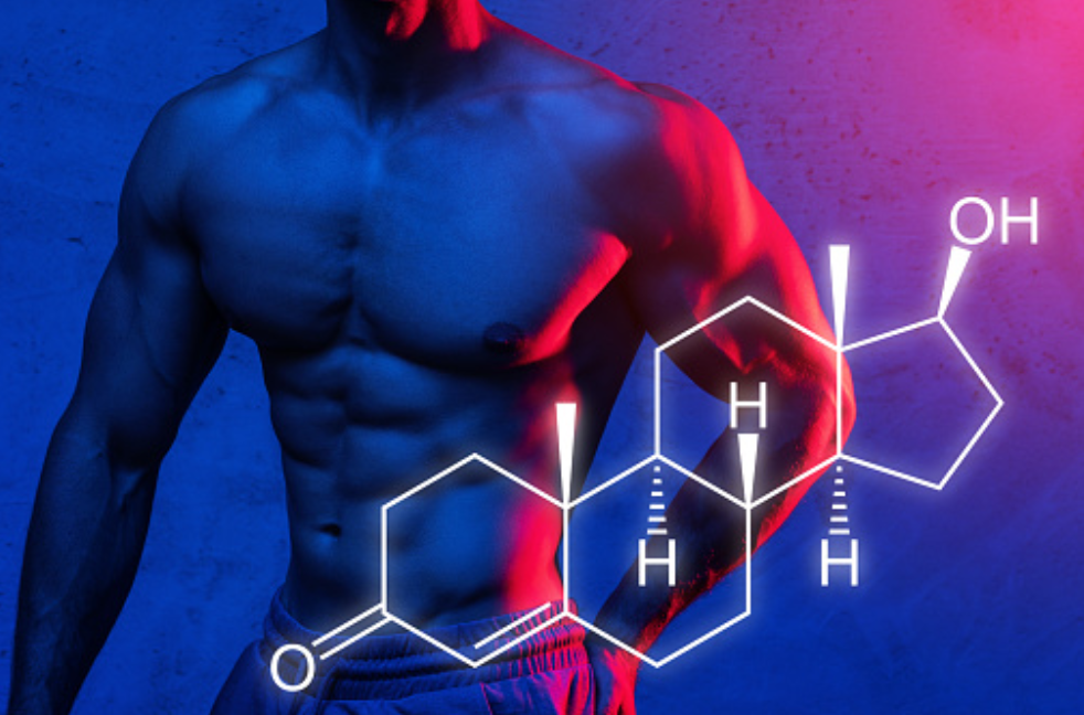 Four Simple Ways to Increase Your Testosterone Level
